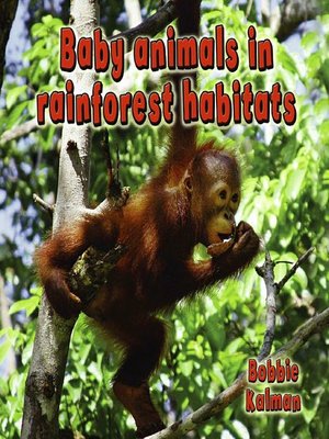 cover image of Baby Animals in Rainforest Habitats